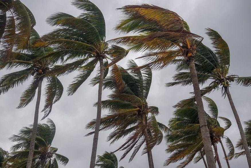 Vendaval gera alerta em 139 municípios da Paraíba; ventos podem chegar a 60 km/h