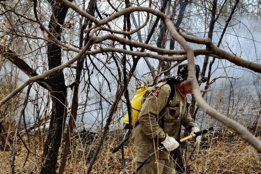 Bombeiros conseguem acabar com incêndio florestal no Parque da Serra de Santa Catarina, na Paraíba