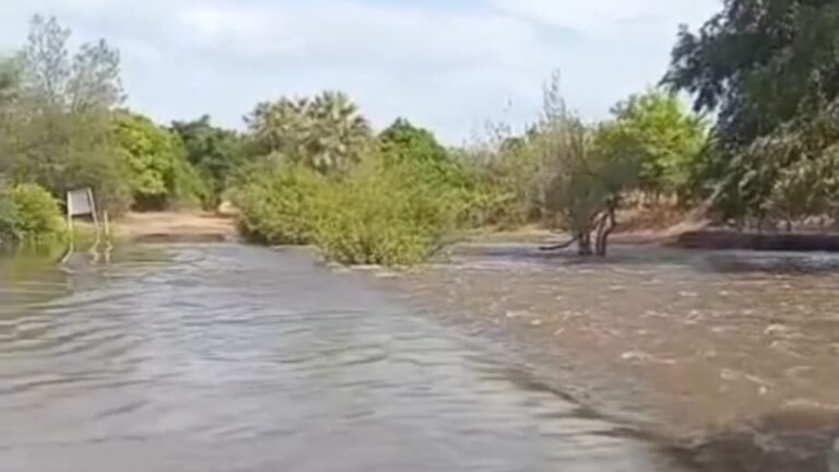 VÍDEO: populares registram cheia em rio na Paraíba; confira ranking das cidades mais chuvosas