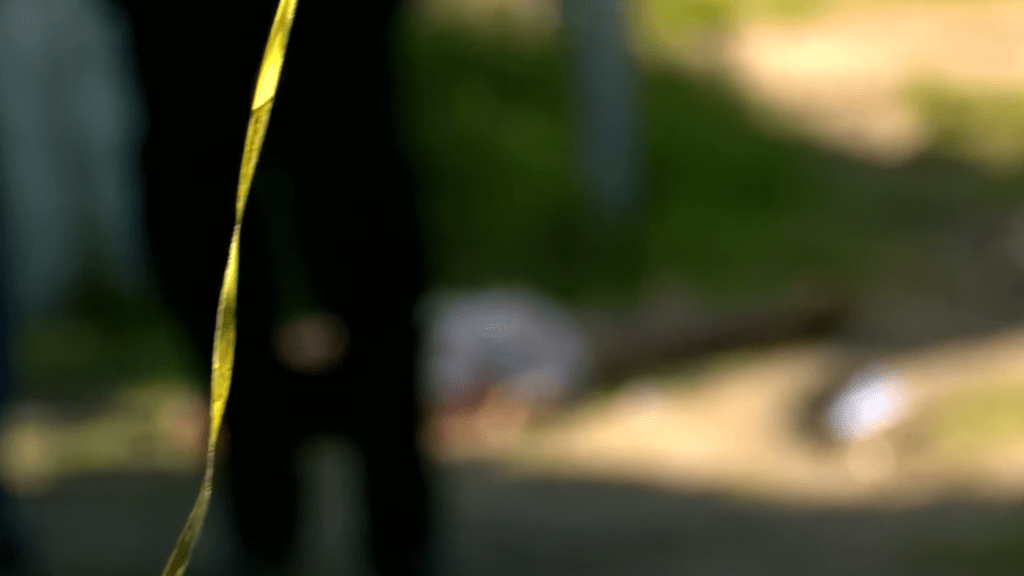 Mulher é assassinada a tiros durante a madrugada em Bayeux