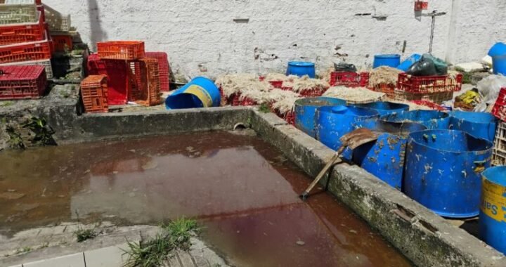Sudema embarga abatedouro por despejo irregular de esgoto no Rio do Cabelo