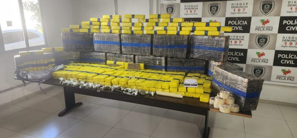 Quase duas toneladas de drogas foram retiradas de circulação somente este ano na Paraíba