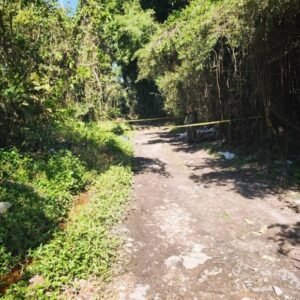 Mistério em São Paulo: Dois Corpos Encontrados em Área de Mata na Zona Leste
