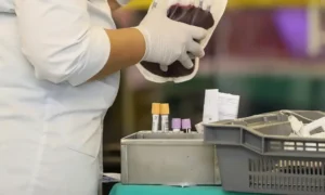 Hemocentro da Paraíba realiza Semana do Doador de Sangue com programação especial